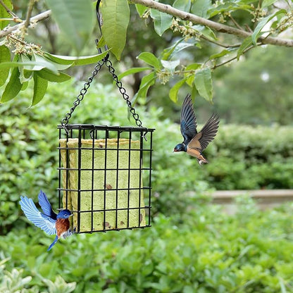 2Pcs Outdoor Suet Cage Bird Feeder, Wild Bird Feeder, Single Suet Cake Capacity, Fruit and Suet Feeder Style for Outside Hanging(Black)