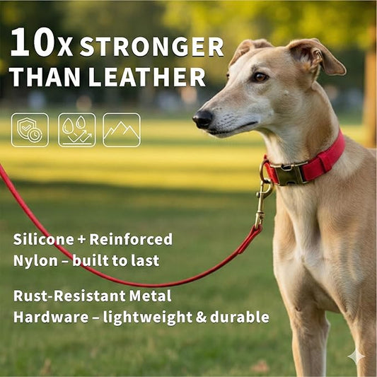 Silicone Dog Collar and Leash Set, Waterproof & Odor-Proof Puppy Collar for Small Dogs, Soft Flexible Leather-Look Dog Collars, Durable Thick Adjustable Pet Collar (Red, Small (9-14" Neck))