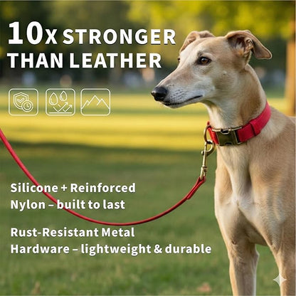 Silicone Dog Collar and Leash Set, Waterproof & Odor-Proof Puppy Collar for Small Dogs, Soft Flexible Leather-Look Dog Collars, Durable Thick Adjustable Pet Collar (Red, Large (14.5-24" Neck))