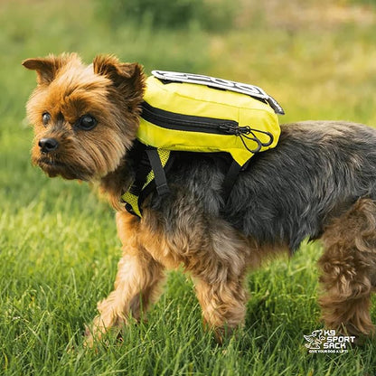 K9 Sport Sack Walk-On - Small, Anthracite Black - Ideal for Dogs with 13-16” Back Length - Lightweight, Packable, Backpack-Style Carrier - Includes Compatible Harness & Storage Bag
