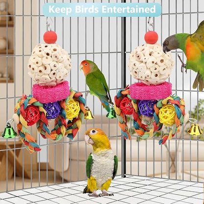 Wontee Bird Toys 3 Pack Parrot Foraging Hanging Toys Sola Ball Natural Nuts Chew Toys for Cockatiels Conures Parakeets Budgies Senegal (2 Pack-Colorful)