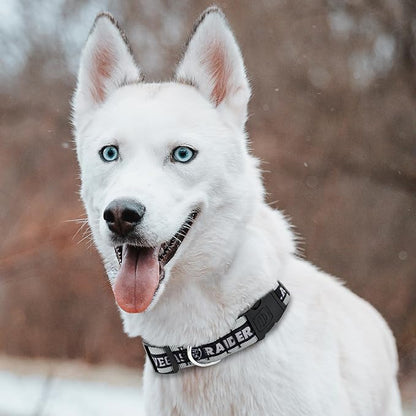 Pets First NFL Raiders Licensed PET COLLAR, Extra Large - Heavy-Duty, Strong, and Durable Dog Collar. Available in 31 Football Teams and 4 Sizes