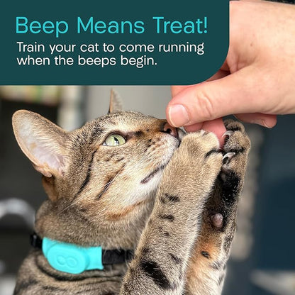 Tabcat V2 Cat & Kitten Tracker - No Monthly Subscription Fee | 2 Lightweight Homing Tags, Cases & Tracking Handset | More Accurate Than GPS | Track 2 Cats Indoors & Outdoors to 1" & 500 ft Range