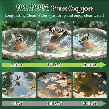 Bird Bath Copper Disk 2 Pack, 99.9% Pure Copper with 3-Point Support Design Enhances Water Purity, Less Cleaning Frequency for Outdoor Bird Baths & Bowls, Safe for Birds Whole Year