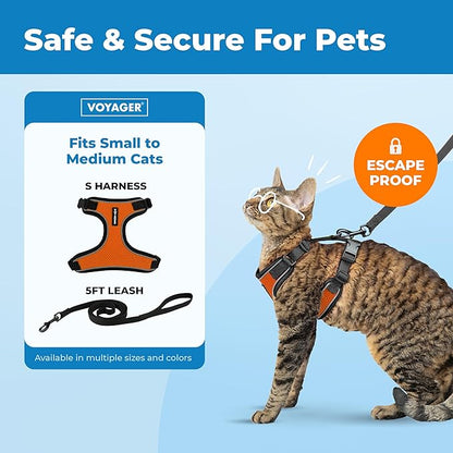 Voyager Escape-Proof Step-in Lock Cat Harness & 5ft Neoprene-Handle Leash Set All-Weather Mesh with Reflective Stitching for Small to Large Cats by Best Pet Supplies, Black Trim-Orange (327), S