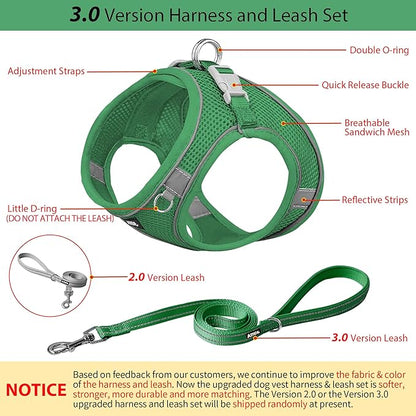 AIITLE Dog Harness, No-Pull Cat Harness with a Leash, Adjustable Reflective Dog Vest, Cat Harness Escape Proof, Outdoor Walking, Running,Training for Extra Small Dogs and House Cats Green XXXS