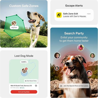 New Fi Series 3+ Smart Dog Tracker Collar [6 Month Membership Included] GPS Tracker for Dogs with Health & Behavior Monitoring, Escape Alerts, Waterproof, LED, Apple Watch Compatible (Gray, Small)