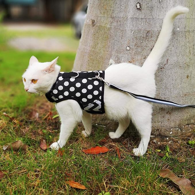 Cat Harness and Leash for Walking Escape Proof, Adjustable Cat Vest Harness, Padded Stylish Cat Walking Jackets, Polka Dot Black, Medium