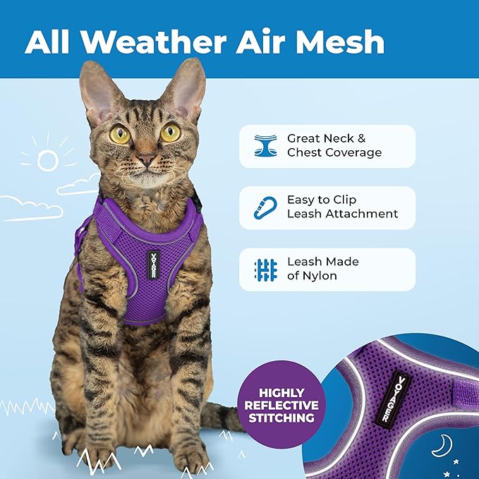 Voyager Escape-Proof Step-in Lock Cat Harness & 5ft Neoprene-Handle Leash Set All-Weather Mesh with Reflective Stitching for Small to Large Cats by Best Pet Supplies, Purple (327), XXXS