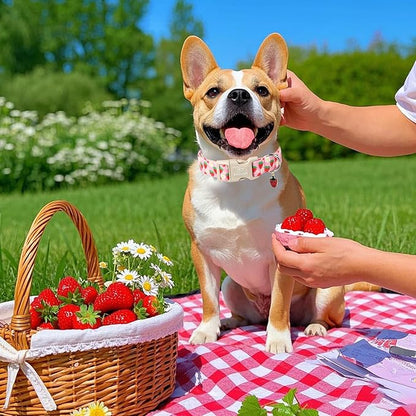 Cute Spring/Summer Dog Collar, Adjustable Pink Strawberry Dog Collars for Giant Large Dogs, Lightweight Quick-Release Buckle Collar for Boy&Girl Dogs XL