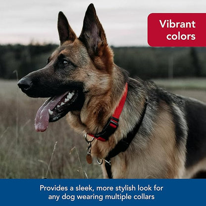 Coastal Pet SecureAway Collar Protector for Flea Collars - Adjustable pet Accessory - Protective Flea Collar for Dogs & Puppy - Red, 5/8" x 8-12"