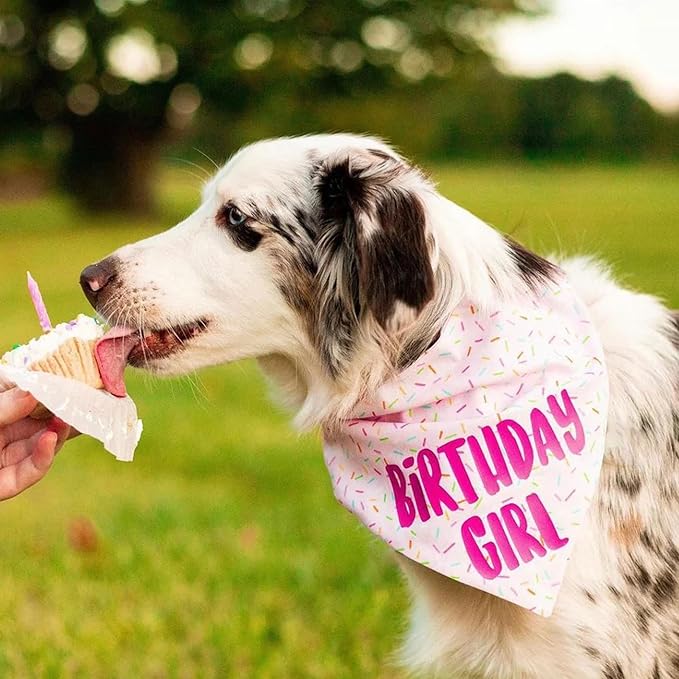 Birthday Girl Dog Bandanas 1 Pack, Pink Dog Scarfs for Girl, HBD Pet Scarves for Birthday Party Decoration for Large and Extra Large Dogs (Pink, X-Large)