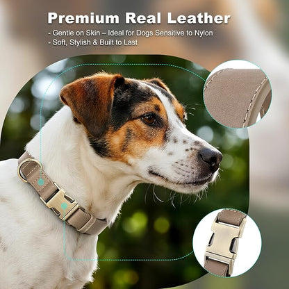 Plutus Pet Genuine Leather Dog Collar – Adjustable Pet Collar with Quick Release Metal Buckle, Soft Real Leather for Small Medium Large Dogs, Heavy Duty & Skin-Friendly (Ash Brown, S)