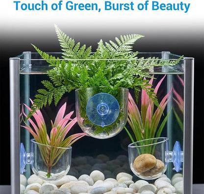 3 Pcs Aquarium Plant Holder, 2 Sizes Fish Tank Aquatic Plant Pot with Suction Cups, Red Worm Fish Feeder, Acrylic Clear Round Betta Tank Accessories for Water Feature Decoration