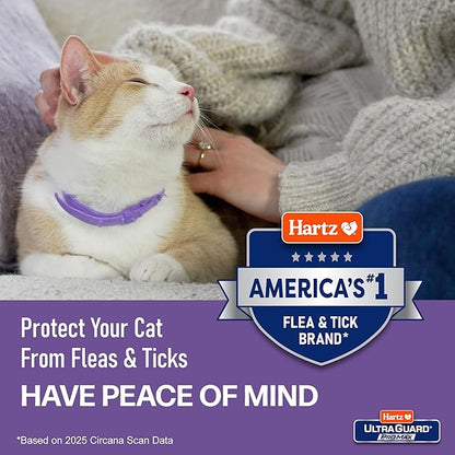 Hartz UltraGuard ProMax Flea & Tick Collar for Cats I 14 Months Protection I Soft & Comfortable | Flea & Tick Prevention I 2 Pack