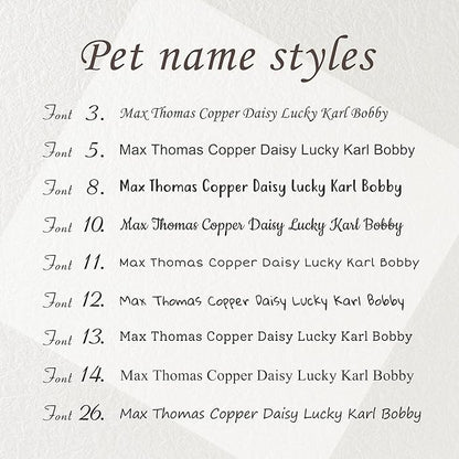 Anavia Slide On Silent Pet ID Tags, S/M/L/XL Personalized Black Stainless Steel Colored Silicone Cat Dog Name Tag, Customized Engraved Nameplate, Quiet Chew-Proof Pet Collar Tag (Blue, Large)