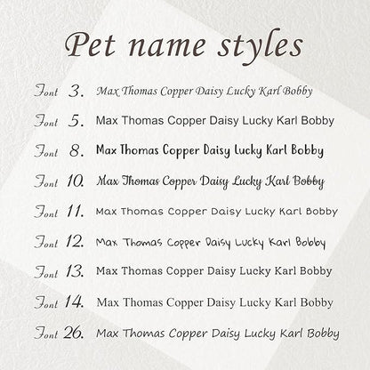 Anavia Slide On Silent Pet ID Tags, S/M/L/XL Personalized Black Stainless Steel Colored Silicone Cat Dog Name Tag, Customized Engraved Nameplate, Quiet Chew-Proof Pet Collar Tag (Blue, Medium)