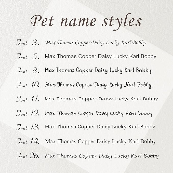 Anavia Slide On Silent Pet ID Tags, S/M/L/XL Personalized Black Stainless Steel Colored Silicone Cat Dog Name Tag, Customized Engraved Nameplate, Quiet Chew-Proof Pet Collar Tag (White, Small)