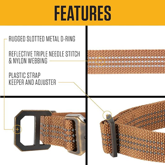 Carhartt Fully Adjustable Nylon Webbing Collars for Dogs, Reflective Stitching for Visibility, Hunter Orange (Nylon Webbing), Medium