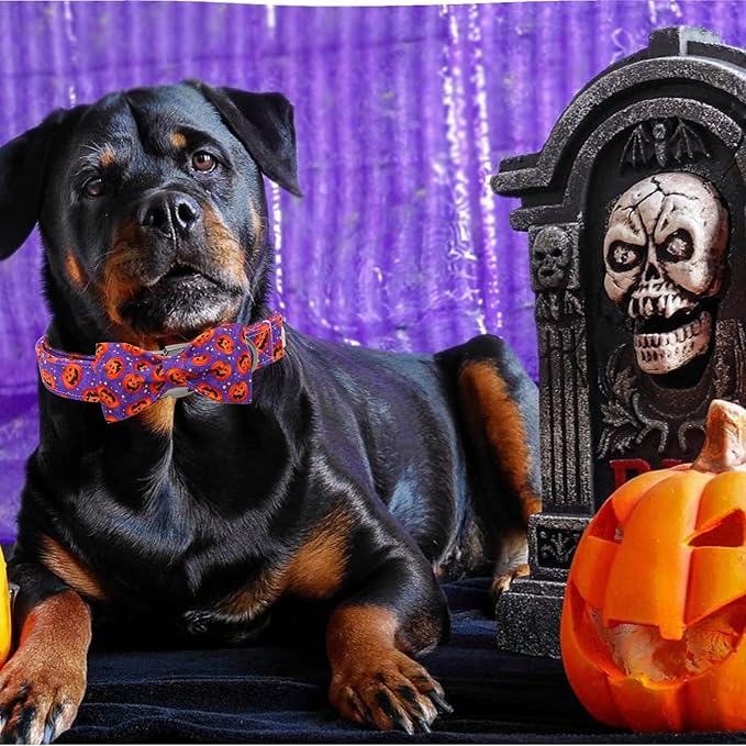 Dog Collar - Halloween Pumpkin Bowtie Pet Collar Gift Soft Bow Collar Pet Adjustable Metal Buckle Puppy Collars for X-Small Dogs