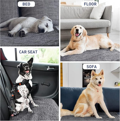 Kritter Planet Waterproof Dog Blanket, Reversible Water Proof Pet Blanket for Couch, Bed & Car, Washable Couch Covers for Medium Dogs - Protects Furniture from Fur, Dirt, and Accidents