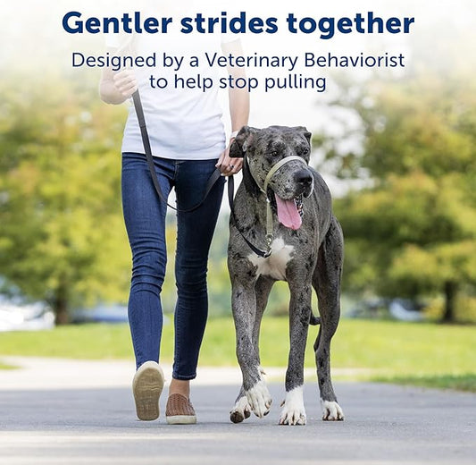 PetSafe Gentle Leader Headcollar No-Pull Dog Collar - Helps Improve Walks - Durable Nylon Construction - Padded Nose Loop - Adjustable Fit - Comfort Walking Halter - Medium,Charcoal,(Pack of 6)