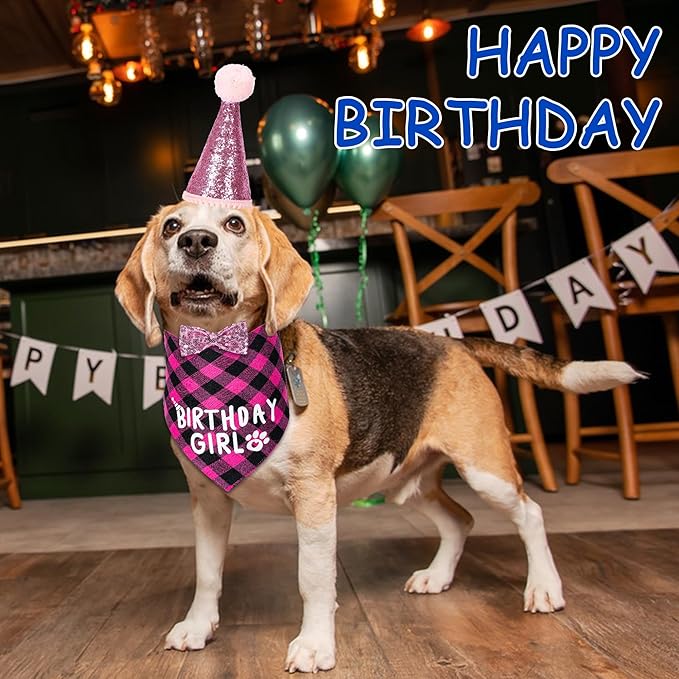 Dog Birthday Party Supplies Decorations with Dog Bandanas/Birthday Hat/Bow Tie Collar with 0-8 Numbers, for Medium Small Dogs Pets (Large, Pink)