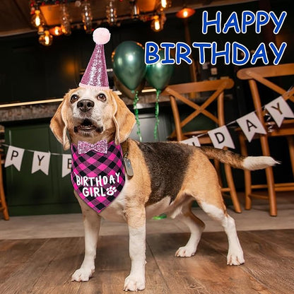 Dog Birthday Party Supplies Decorations with Dog Bandanas/Birthday Hat/Bow Tie Collar with 0-8 Numbers, for Medium Small Dogs Pets (Large, Pink)