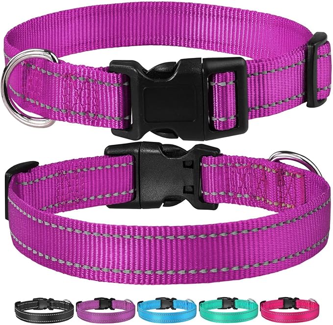 Reflective Dog Collar with Buckle Adjustable Safety Nylon Collars for Small Medium Large Dogs, Purple M
