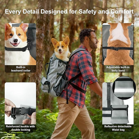 Dog Backpack Carrier, Ergonomic Pet Travel Bag, Suitable for Medium and Large Dogs, Built-in Leash and Adjustable Buckle, Ideal for Hiking and Cycling, M