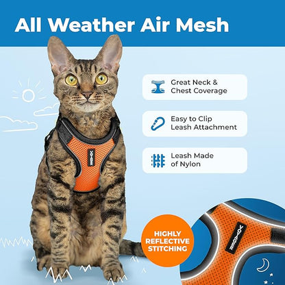 Voyager Escape-Proof Step-in Lock Cat Harness & 5ft Neoprene-Handle Leash Set All-Weather Mesh with Reflective Stitching for Small to Large Cats by Best Pet Supplies, Black Trim-Orange (327), XXXS