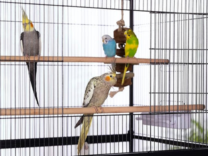 Prevue Pet Products Steel Bird Flight Cage with Wheels - Large Birdcage for Parakeets, Canaries, Finches, Cockatiels, Lovebirds, & Green Cheek, Metal Standing Birdcage - Black, Large