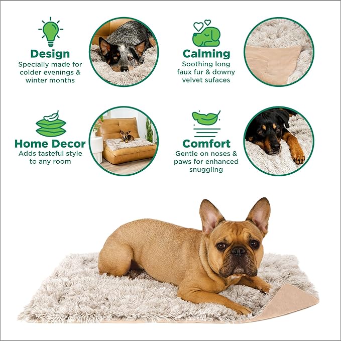 Furhaven Waterproof Throw Blanket for Dogs & Indoor Cats, Washable - Shaggy Plush Calming Long Faux Fur & Velvet Dog Blanket - Driftwood, Small (Pack of 2)