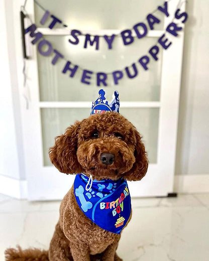 Dog Birthday Party Supplies - Bandana Set with Party Hat, Crown and Banner - 'It's My Birthday Mother Puppers' for Medium, Large Dogs