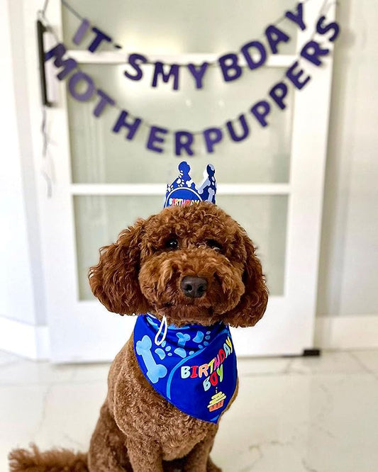 Dog Birthday Party Supplies - Bandana Set with Party Hat, Crown and Banner - 'It's My Birthday Mother Puppers' for Medium, Large Dogs