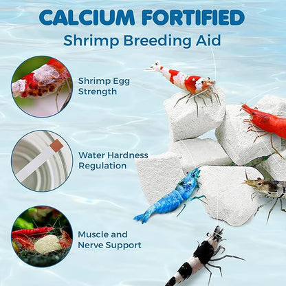 SunGrow Shrimp Rocks for Aquarium, 4-oz. Calcium Stones for Freshwater Aquarium Calcium Rocks for Snails, Recreate Shrimp Habitat, Feeder Discs for Crabs & Crayfish, Snail Tank Accessories