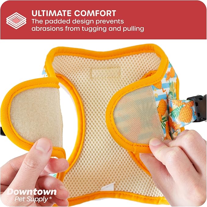 Downtown Pet Supply Step-in Dog Harness – No Pull, Adjustable Padded Mesh with Reflective Trim, Secure Buckle Strap – Comfortable & Breathable Small Dog Harness, Small, Pineapple