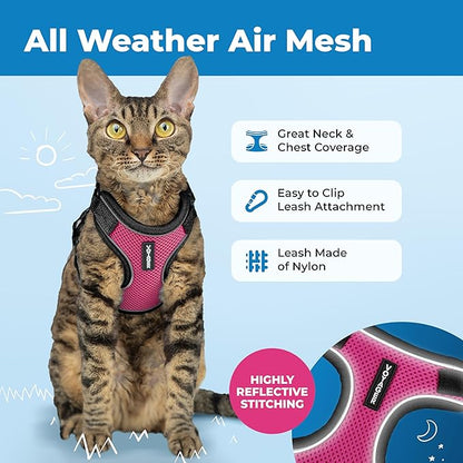 Voyager Escape-Proof Step-in Lock Cat Harness & 5ft Neoprene-Handle Leash Set All-Weather Mesh with Reflective Stitching for Small to Large Cats by Best Pet Supplies, Black Trim-Fuchsia (327), XXXS