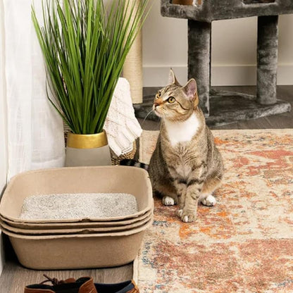 Kitty Sift (Set of 1 Litter Box & 5 Sifting Liners) Disposable Sifting Cat Litter Box Large, 6 Count, Durable and Portable for Travel and Home Odor Control