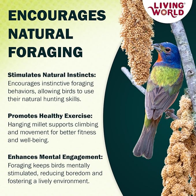 Living World - Millet Spray for Birds, 3.5 Oz – Premium Treat for Budgies, Canaries, Finches, Cockatiels and Other Pet Birds