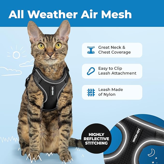 Voyager Escape-Proof Step-in Lock Cat Harness & 5ft Neoprene-Handle Leash Set All-Weather Mesh with Reflective Stitching for Small to Large Cats by Best Pet Supplies, Black (327), XXS