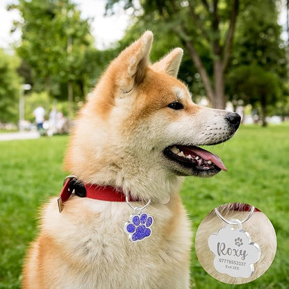 EDSG Cat Dog Tags Personalized for Pets, Dog Name Tags Cat Name ID Tag, Engraved Dog Tags Dog ID Tags Small Glitter Bling ID Tag Paw Print for Cat Pet Dog Puppy(Blue,Design 2)