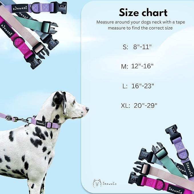 ShawnCo Dream Walk Dog Collar- Premium, Adjustable and Comfortable Pet Collar for Small, Medium, Large and Extra Large Dogs (M, Sunset Orange)