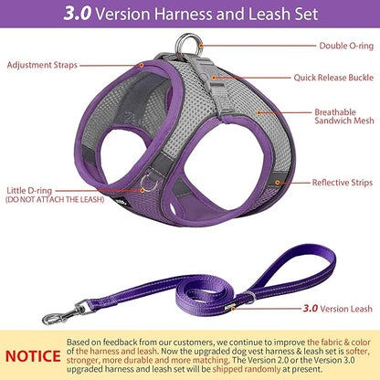 AIITLE Dog Harness, No-Pull Cat Harness with a Leash, Adjustable Reflective Dog Vest, Cat Harness Escape Proof, Outdoor Walking, Running,Training for Extra Small Dogs and House Cats Purple XXXS
