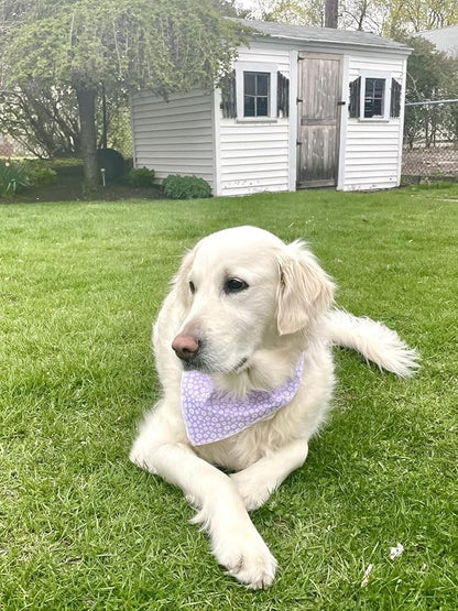 Lionet Paws Spring Daisy Dog Bandana Washable Cotton Handkerchief Scarf Triangle Purple Bandana for Small Medium Large Dogs Girl Boy