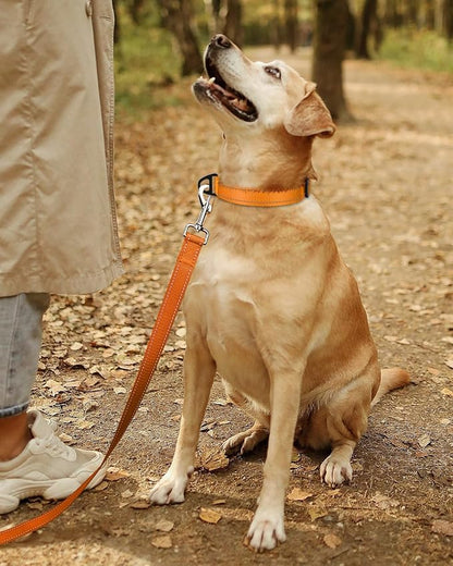 TagME Reflective Nylon Dog Collars, Adjustable Classic Pet Collar with Quick Release Buckle for Extra Large Dogs, Orange, 1¼" Width