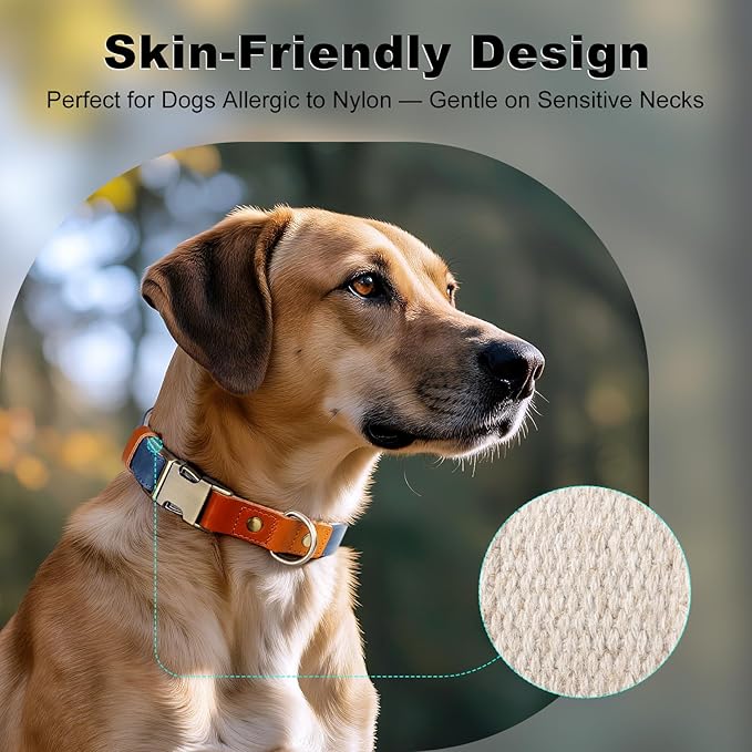 Plutus Pet Genuine Leather & Hemp Dog Collar – Adjustable Heavy Duty Pet Collar with Quick Release Metal Buckle, Soft & Stylish for Puppy and Small, Medium, Large Dogs (Royal Blue, S)