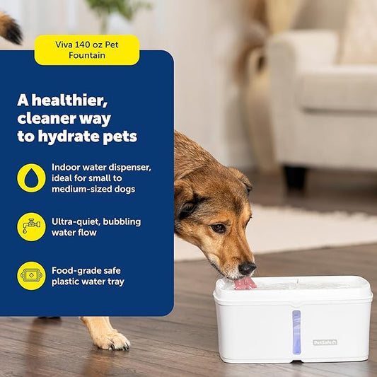 PetSafe Viva Pet Fountain - Encourages Healthy Hydration - Automatic Water Dispenser with Double Filtration - Ultra Quiet Water Fountain - Easy to Assemble - Dishwasher Safe - Stainless Steel - 140 oz