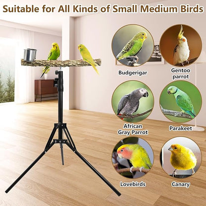 kathson 28-60inches Height Adjustable Bird Perch, Pepperwood Parrot Perch Stand with Feeding Cup, Multi-Purpose Bird Perches for Indoor and Outdoor Use, Designed for Small Medium Birds (3 PCS)