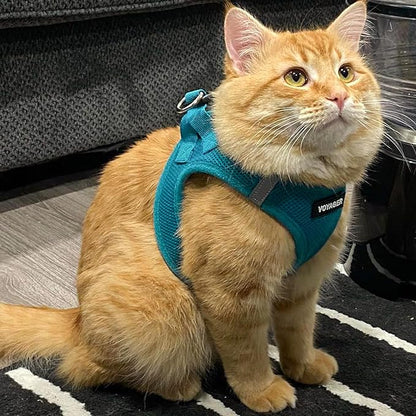 Best Pet Supplies Voyager Step-in Air Harness - All Weather Mesh, Reflective, No Pull Harness for Dogs, Cats - Secure with Hook & Loop Fastener, Buckle, Double D-Rings - Turquoise, L